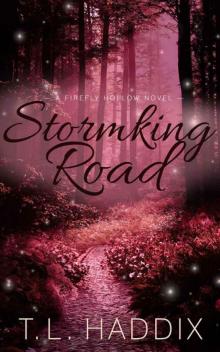 Stormking Road (Firefly Hollow series Book 6) Read online