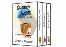 Summer Walsh Mystery Series (3 complete cozy mystery novellas)