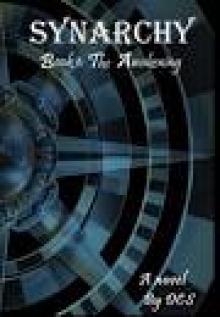 Synarchy Book 1: The Awakening Read online