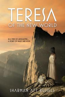 Teresa of the New World Read online