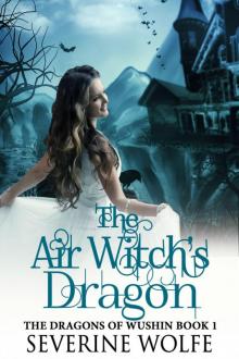 The Air Witch's Dragon Read online