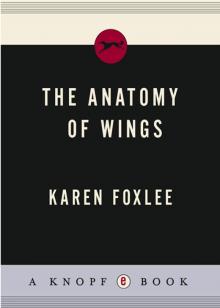 The Anatomy of Wings Read online