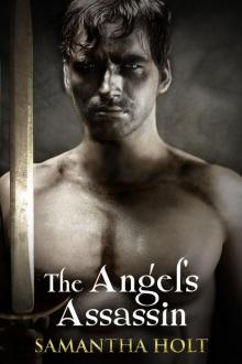 The Angel's Assassin Read online