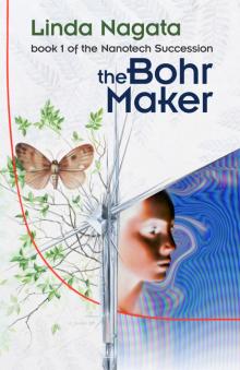 The Bohr Maker Read online