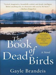 The Book of Dead Birds Read online