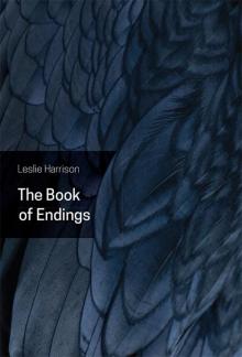 The Book of Endings Read online