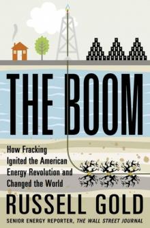 The Boom: How Fracking Ignited the American Energy Revolution and Changed the World Read online