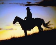 The Cowboy Next door Read online