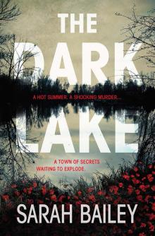 The Dark Lake Read online