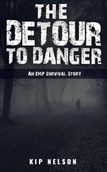 The Detour To Danger: An EMP Survival Story (EMP Crash Book 3) Read online