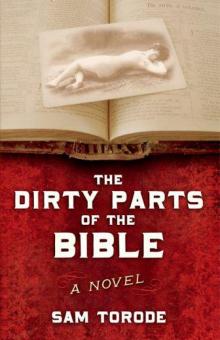 The Dirty Parts of the Bible: A Novel Read online