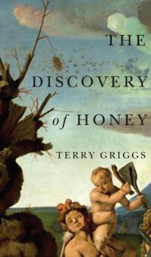 The Discovery of Honey Read online