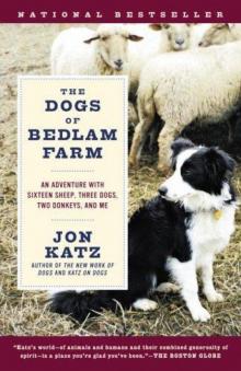 The Dogs of Bedlam Farm : An Adventure with Sixteen Sheep, Three Dogs, Two Donkeys, and Me Read online