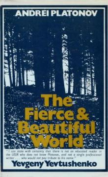 The Fierce and Beautiful World Read online