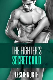 The Fighter's Secret Child (The Burton Brothers Series Book 3) Read online