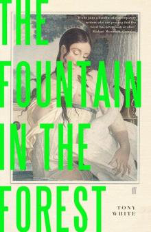 The Fountain in the Forest Read online