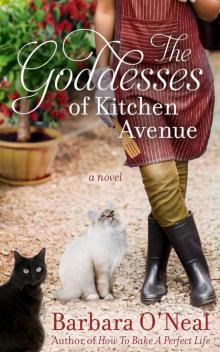 The Goddesses of Kitchen Avenue: A Novel Read online