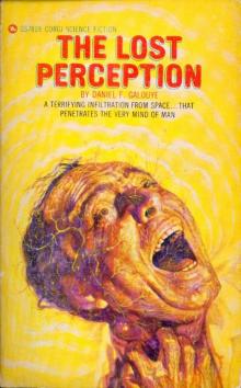 The Lost Perception Read online