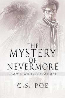 The Mystery of Nevermore Read online