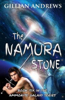 The Namura Stone