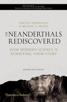 The Neanderthals Rediscovered: How Modern Science is Rewriting Their Story