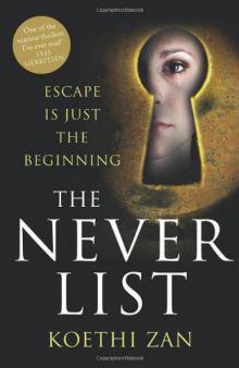 The Never List Read online