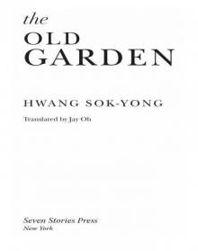 The Old Garden Read online