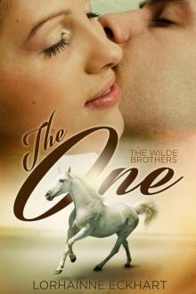 The One (Book 1, of The Wilde Brothers, A Contemporary Western Romance) Read online