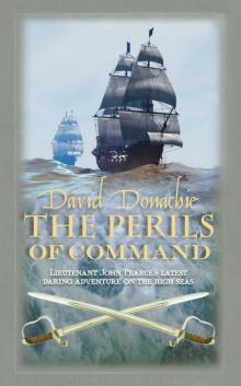 The Perils of Command Read online