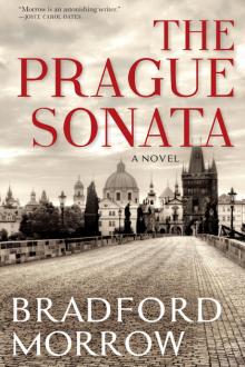 The Prague Sonata Read online