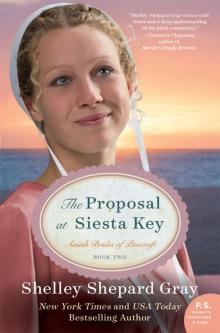 The Proposal at Siesta Key