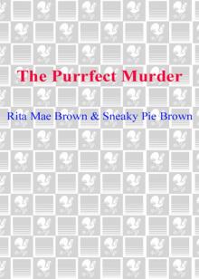 The Purrfect Murder Read online