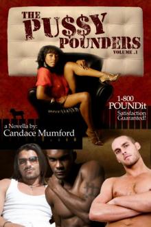 The Pussy Pounders Volume 1 ( A Novella ) Read online