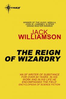 The Reign of Wizardry Read online