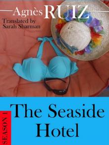 The Seaside Hotel Read online