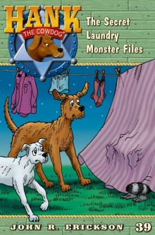 The Secret Laundry Monster Files Read online