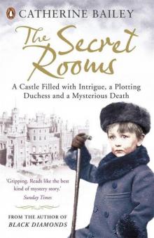 The Secret Rooms: A True Gothic Mystery