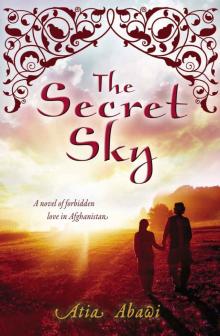 The Secret Sky: A Novel of Forbidden Love in Afghanistan Read online