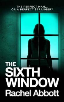 The Sixth Window Read online