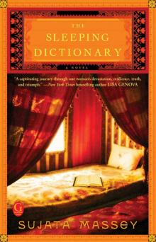 The Sleeping Dictionary Read online
