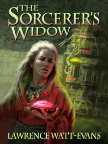 The Sorcerer's Widow Read online
