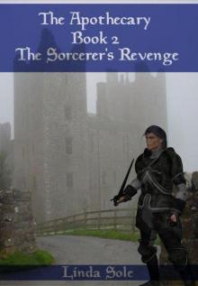 The Sorceror's Revenge Read online