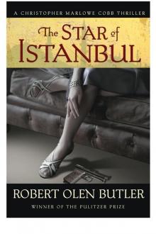 The Star of Istanbul Read online