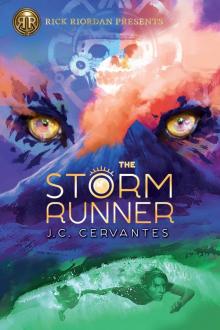 The Storm Runner Read online