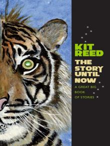 The Story Until Now: A Great Big Book of Stories Read online