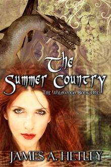The Summer Country Read online