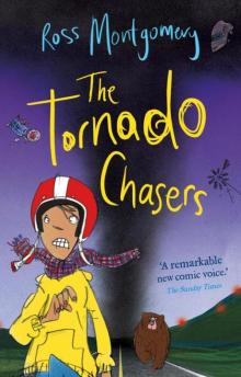 The Tornado Chasers Read online
