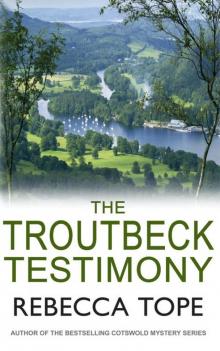 The Troutbeck Testimony Read online