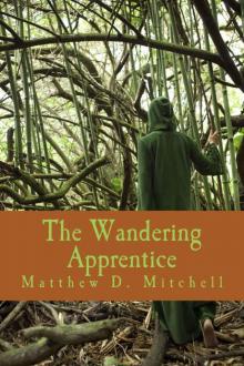 The Wandering Apprentice Read online