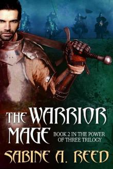 The Warrior Mage (The Power of Three Book 2) Read online